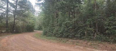 /international/us/tbd-county-road-165-long-branch-tx-110098348138/?lang=zh-tw