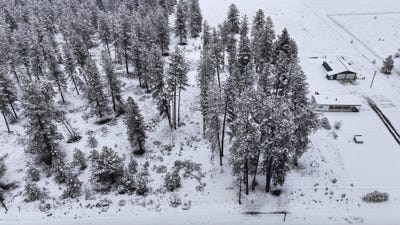 /international/us/nkn-newport-hwy-elk-wa-110106441002/
