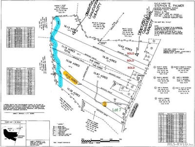 /international/us/lot-7-christanna-hwy-lawrenceville-va-110100371646/