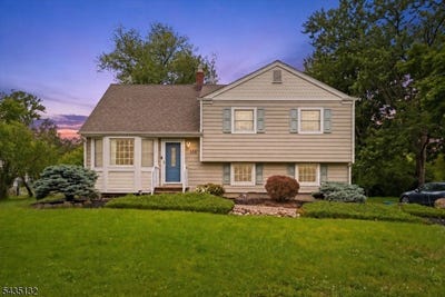/international/us/108-taylor-ave-hillsborough-twp-nj-110108411146/