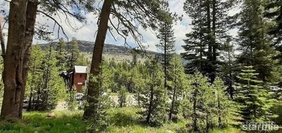 /international/us/33839-hawkweed-way-kirkwood-ca-110107258745/
