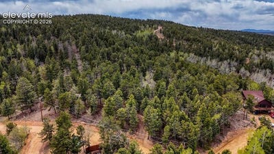 /international/us/259-potlatch-trail-woodland-park-co-110108221671/