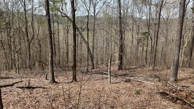 /international/us/567-geren-subdivision-lane-decatur-tn-110119923136/