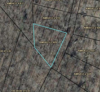 /international/us/ambassador-shores-lot-609-leitchfield-ky-110108959013/
