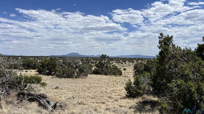 /international/us/warpath-rd-quemado-nm-110100314475/