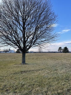/international/us/17408-wildflower-circle-lot-13-union-il-110081696860/