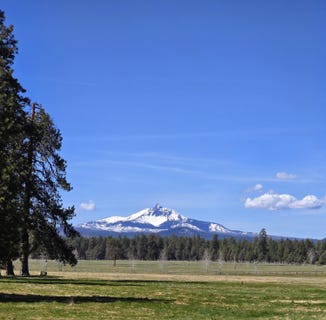 /international/us/353-s-pine-meadow-street-sisters-or-110106156222/