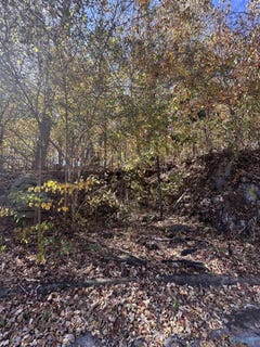 /international/us/4622-legacy-preserve-way-se-brownsboro-al-110089405772/