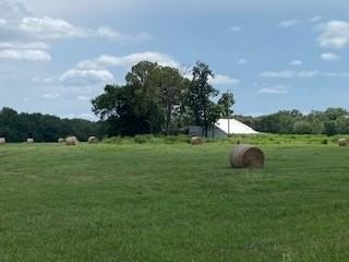 /international/us/699-sterlin-hurley-hwy-clarksville-ar-110101271768/?lang=en