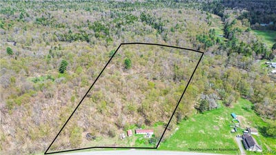 /international/us/4886-w-ava-road-ava-ny-110107872760/