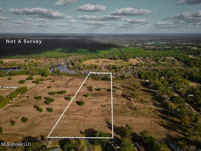 /international/us/spruce-street-lot-1-poplarville-ms-110103544416/