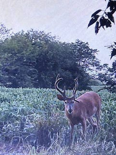 /international/us/ne-camden-rd-maysville-mo-110104094633/