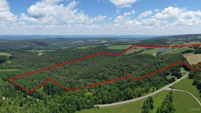 /international/us/989-robinson-rd-warren-ny-110101218630/