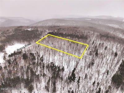 /international/us/l21-126-roosa-road-canisteo-ny-110098018214/