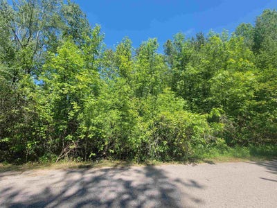 /international/us/vl-maple-street-gladwin-mi-110107658409/