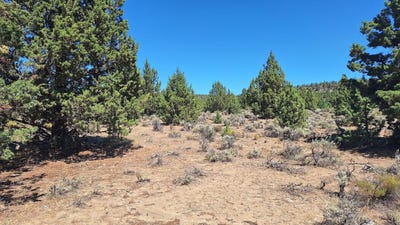 /international/us/400-goldenview-ranch-bend-or-110106034226/