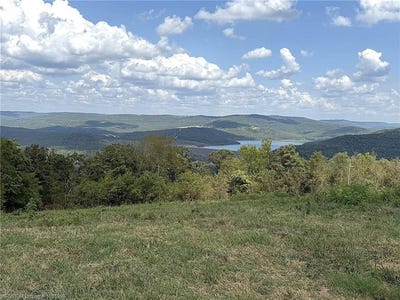 /international/us/hickory-street-mountainburg-ar-110110305094/