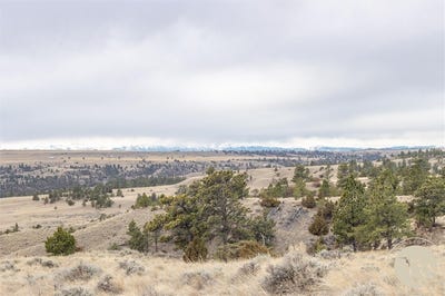 /international/us/rocky-ridge-road-lot-134-molt-mt-110106260490/