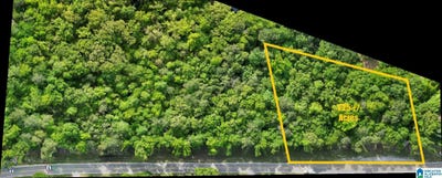 /international/us/county-road-42-lot-1-jemison-al-110108109085/