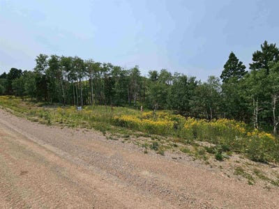 /international/us/20933-majestic-heights-road-sturgis-sd-110106927283/