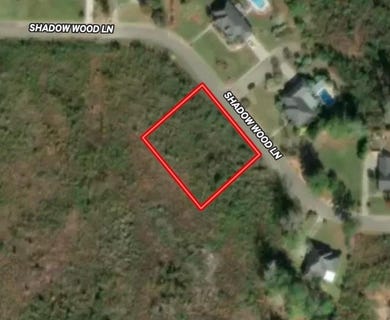 /international/us/shadow-woods-lane-lot-22-blk-c-ozark-al-110108203905/