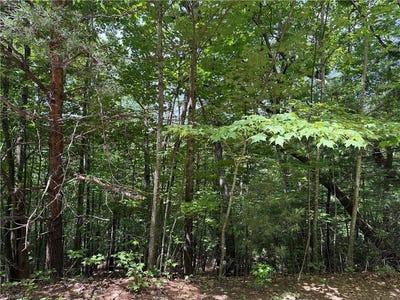 /international/us/warren-way-lot-132a-purlear-nc-110108394220/