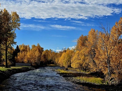 /international/us/vrbo-at-johnson-drive-absarokee-mt-110098397321/