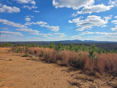/international/us/5150-norwood-rd-gladstone-va-110104055909/
