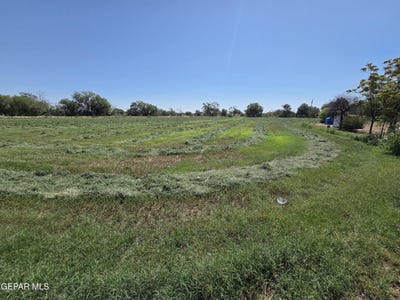 /international/us/pn-220445-borrego-road-san-elizario-tx-110119471086/