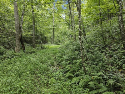 /international/us/23584-conrad-road-south-bloomingville-oh-110110369182/