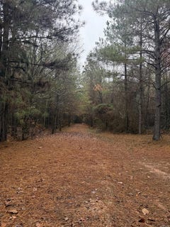 /international/us/loan-oak-road-lockesburg-ar-110103989403/