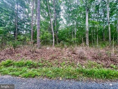 /international/us/oak-lane-luray-va-110100833697/