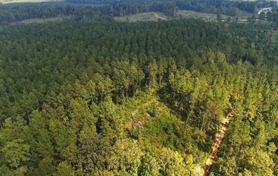 /international/us/w-state-hwy-106-stinson-georgiana-al-110110307149/