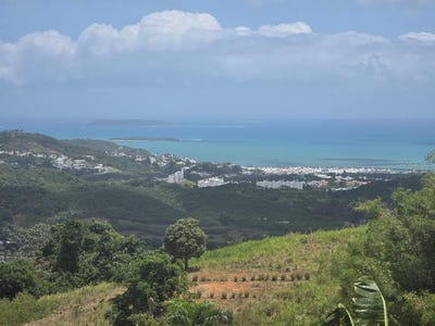 /international/us/quintas-de-ceiba-ceiba-pr-110107885364/