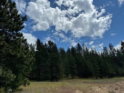 /international/us/588x-weaver-way-deer-park-wa-110096603386/?lang=zh-cn