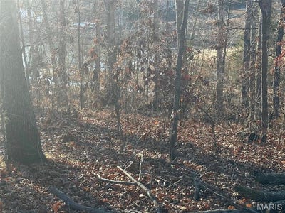 /international/us/17-wagon-creek-loop-creal-springs-il-110098954135/
