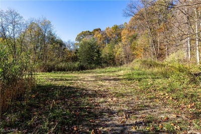 /international/us/3339-yellow-creek-road-bath-oh-110103269509/