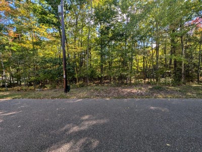 /international/us/bluegill-lake-rd-lot-84-lake-tomahawk-wi-110119985697/