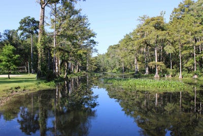 /international/us/1410-malloy-landing-road-monticello-fl-110110239053/