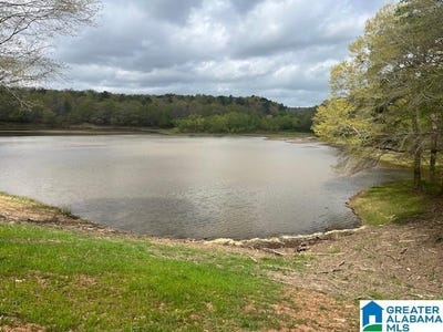 /international/us/watershed-road-lot-46-ac-cragford-al-110109697513/