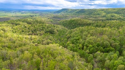 /international/us/midland-trail-east-lewisburg-wv-110099698956/?lang=zh-cn