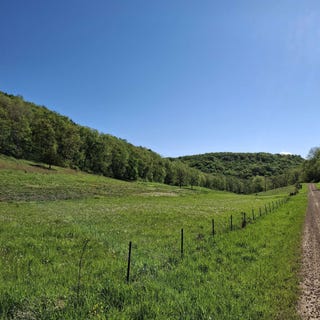 /international/us/40-acre-lot-walnut-lane-richland-center-wi-110099959464/