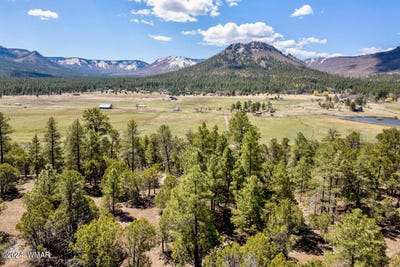 /international/us/cr-2030-forest-lane-nutrioso-az-110091572003/