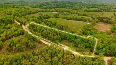 /international/us/291-county-road-804-gainesville-mo-110107851229/