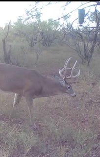 /international/us/1400-hammond-road-quanah-tx-110101980086/