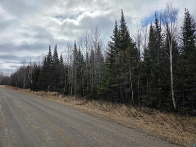 /international/us/10xxx-oja-rd-hibbing-mn-110107519641/