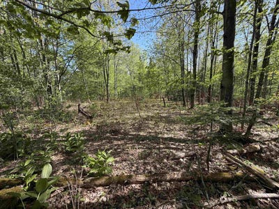 /international/us/550-petit-road-coventry-vt-110108491316/