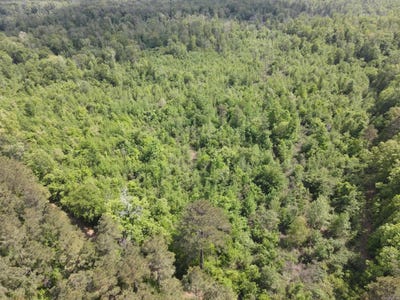 /international/us/county-road-311-hamburg-ar-110107545869/