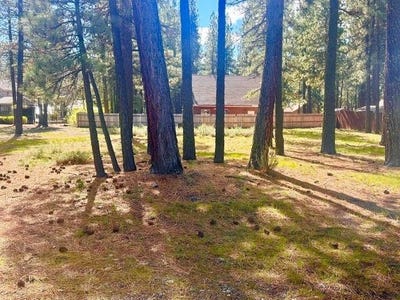 /international/us/244-watson-road-chester-ca-110106948122/