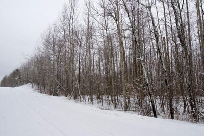 /international/us/sheridan-woods-lane-ne-outing-mn-110106369224/